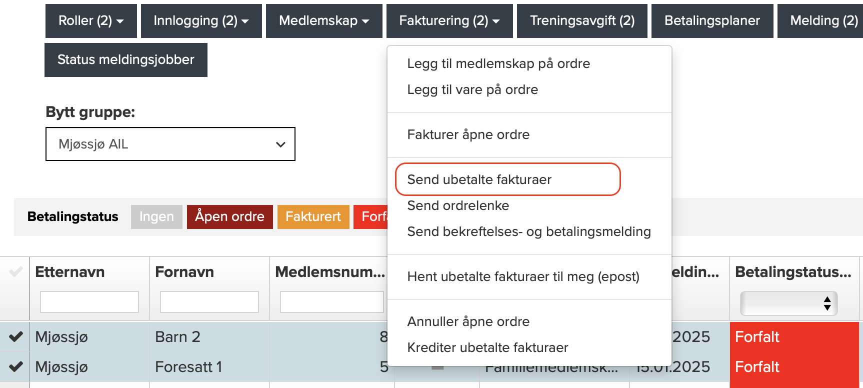 Skjermbilde 2025-06-20 kl. 08.07.17.png