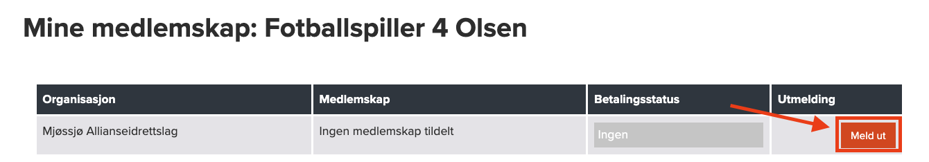 Skjermbilde 2025-07-01 kl. 10.18.17.png
