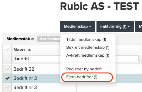 Skjermbilde 2025-07-08 kl. 10.57.13.png