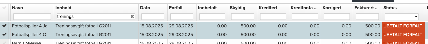 Skjermbilde 2025-11-19 kl. 10.55.07.png
